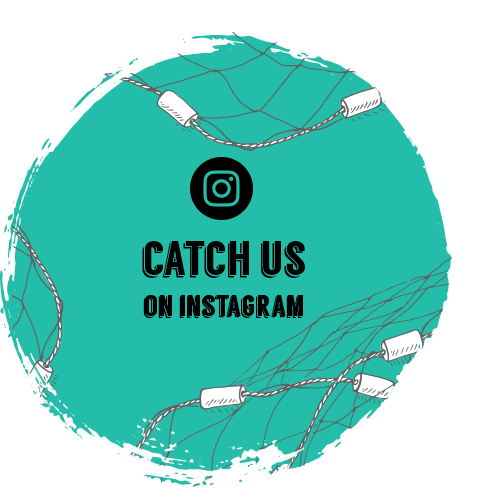 Image of Instagram logo on a teal green circle